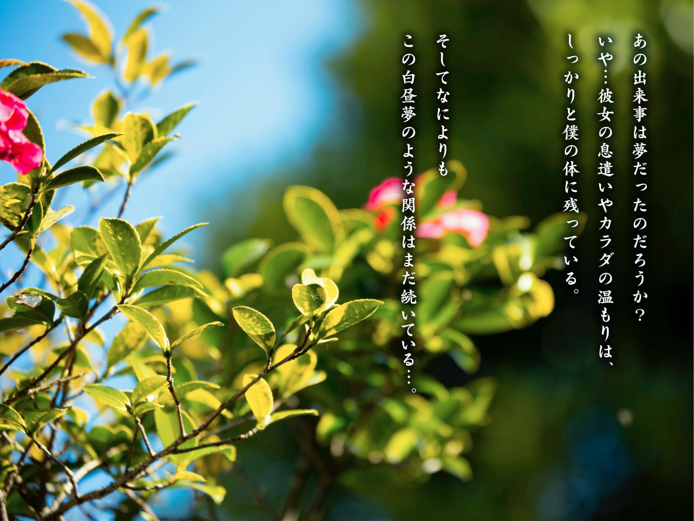 [JP] Rika Sakurada (桜田梨加) - ヌー