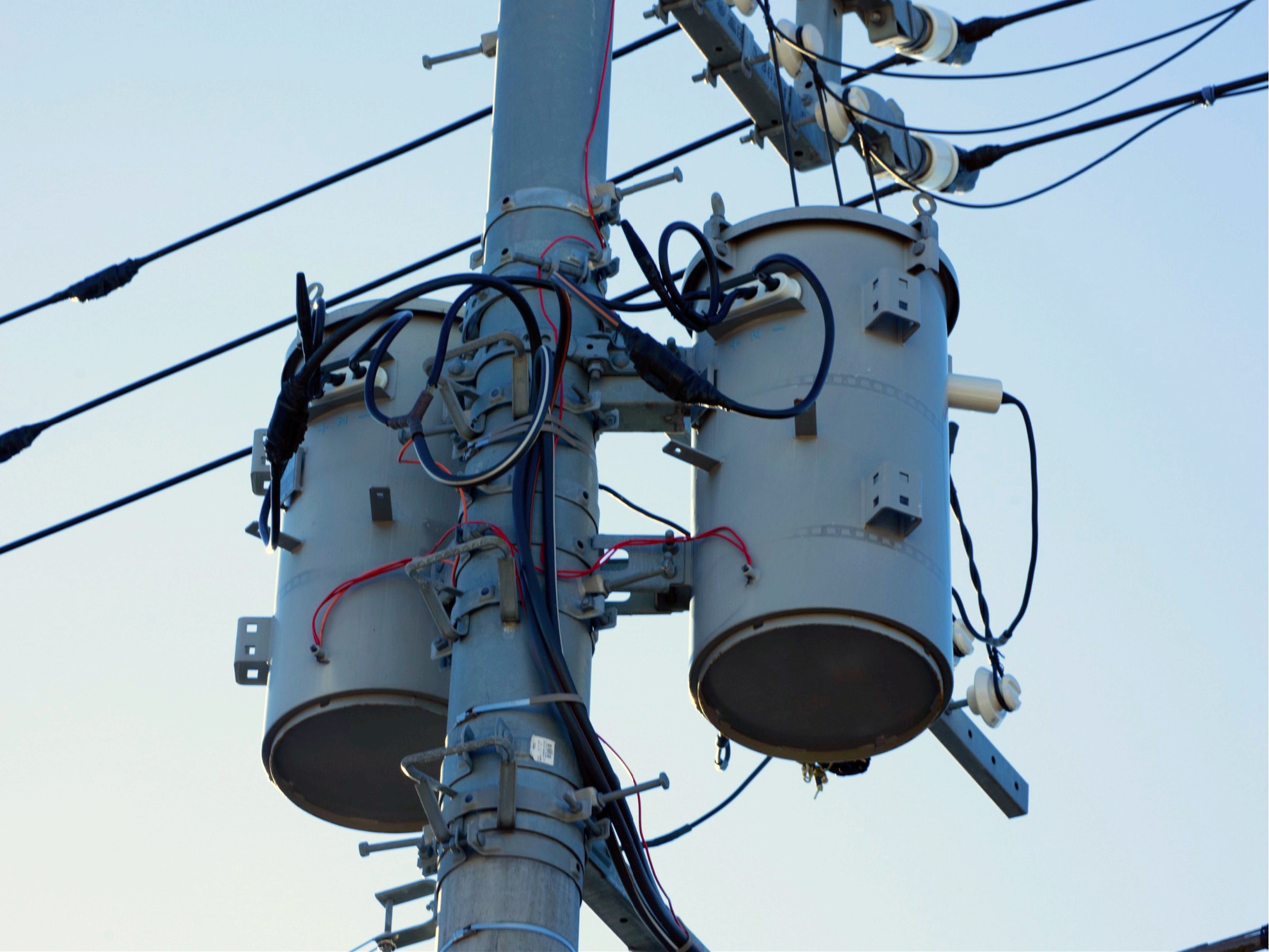 [JP] Rika Sakurada (桜田梨加) - ヌー