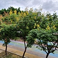 20201008_094254.jpg