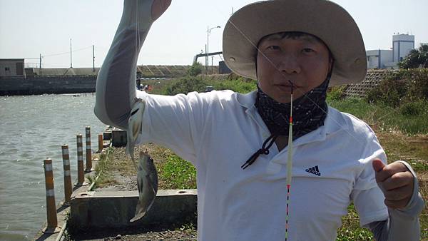 釣鹹水吳郭魚