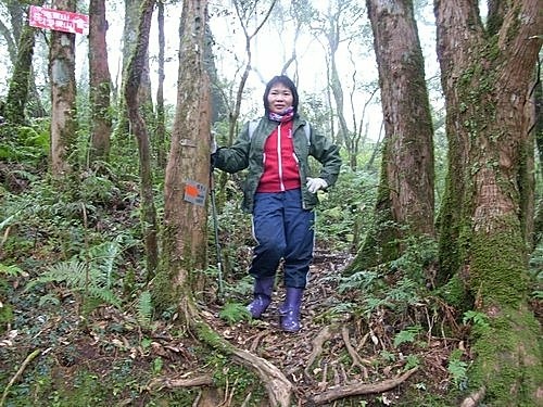 980102塔曼山拉拉山比亞山巴陵山(98).jpg