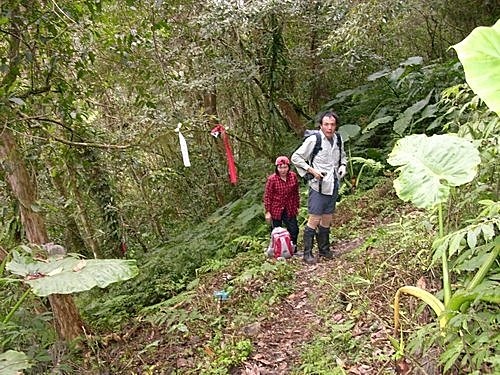 980301茶墾山(46).jpg