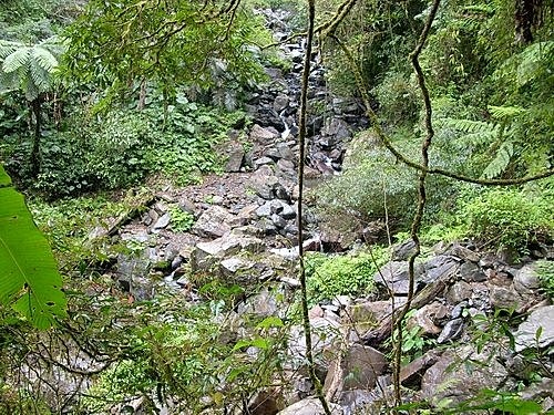 980301茶墾山(79).jpg