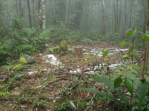 980301茶墾山(97).jpg