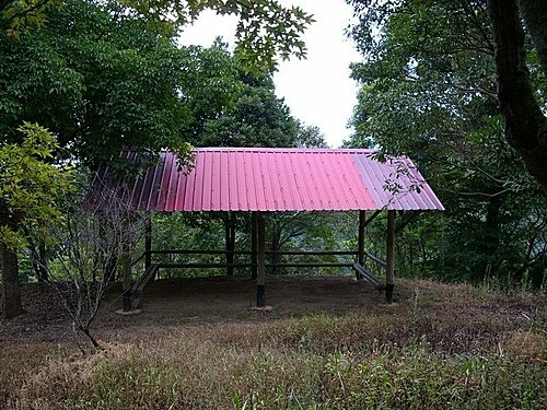 980725光城山上樟樹林山石頭坑山犁頭山(24).jpg