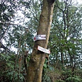 1050327多福步道青龍嶺大棟山石灰坑山福源山步道縱走下午大棟山單車行021.jpg