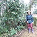 1050327多福步道青龍嶺大棟山石灰坑山福源山步道縱走下午大棟山單車行024.jpg