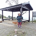 1050327多福步道青龍嶺大棟山石灰坑山福源山步道縱走下午大棟山單車行026.jpg