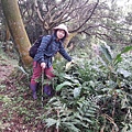 1050327多福步道青龍嶺大棟山石灰坑山福源山步道縱走下午大棟山單車行045.jpg