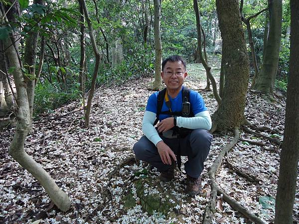 1100418鶯歌16棵大榕樹巡禮-順登西鶯山-鶯歌蛋山15.jpg