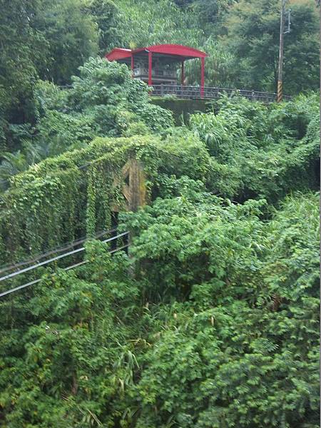 唐山寮吊橋 東側 (和平)