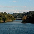 碧湖吊橋遠景