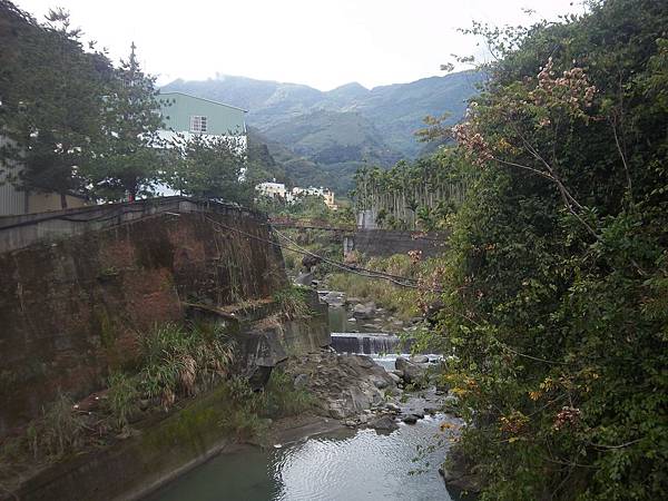 自愛橋遠看洽坑溪吊橋