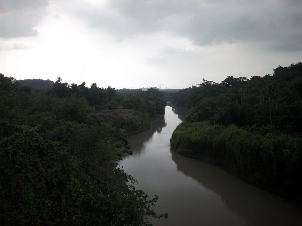 義仁吊橋 牛稠溪