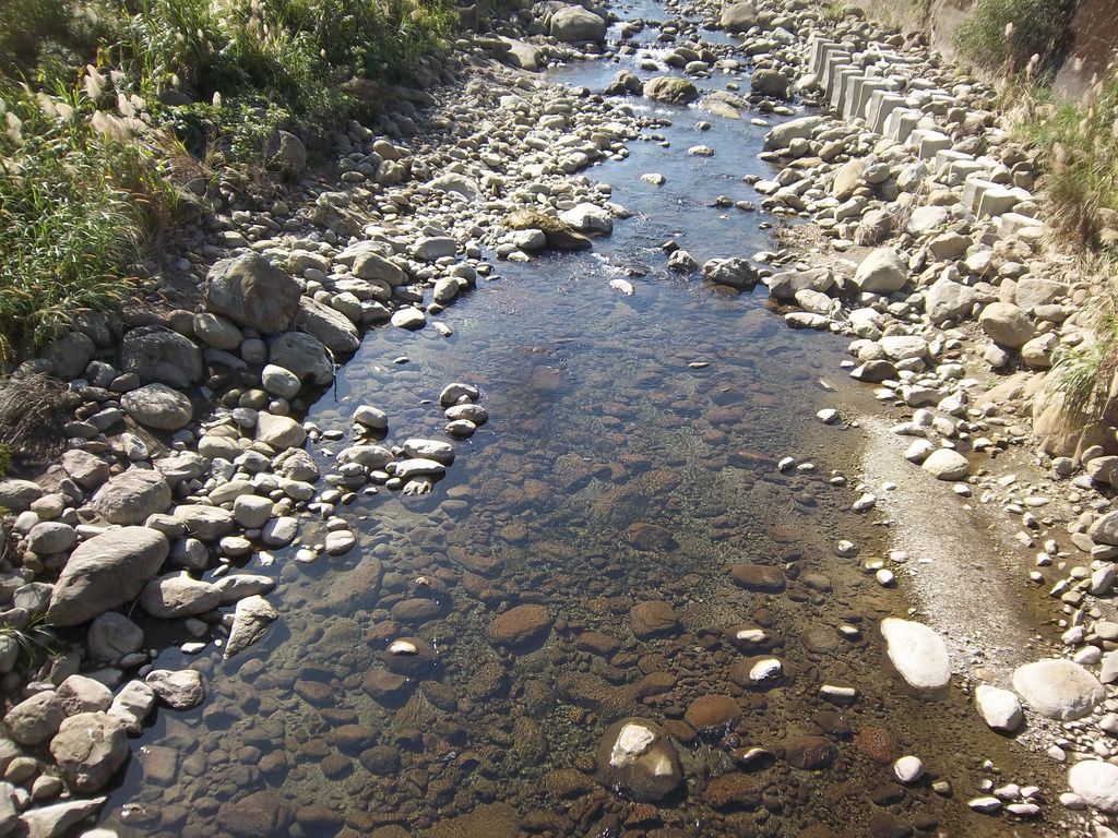 和平吊橋 橋下清澈溪流