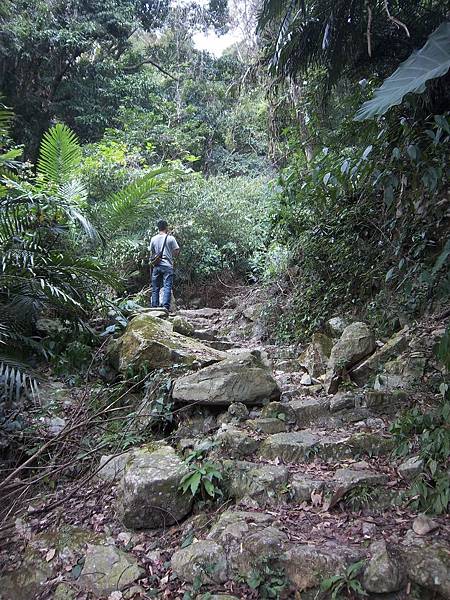 中途路況