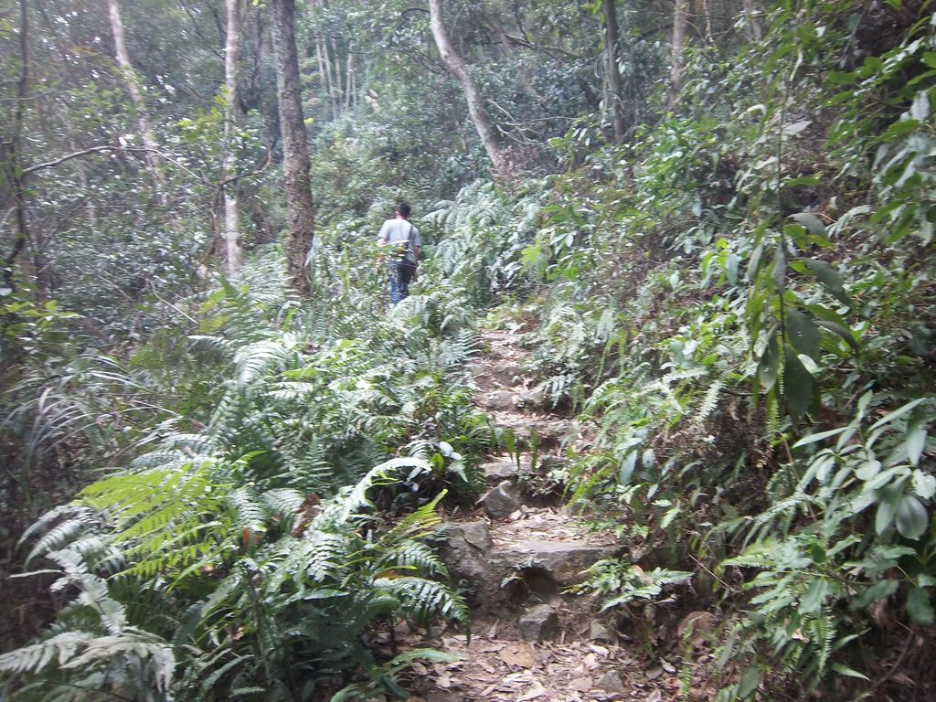 中途路況