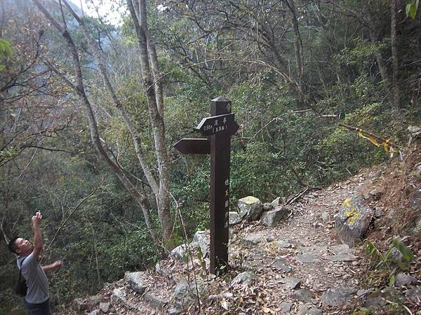 連接東卯山岔路