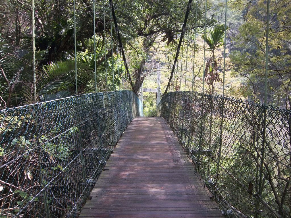 蓬萊吊橋（古坑）