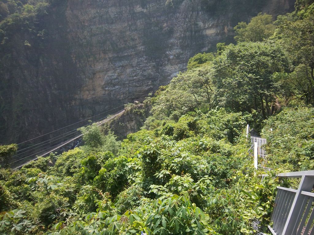 平行的吊橋＆棧道