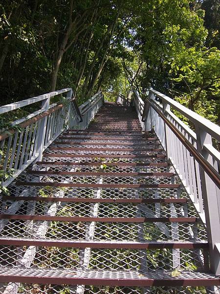 依希岸天時棧道