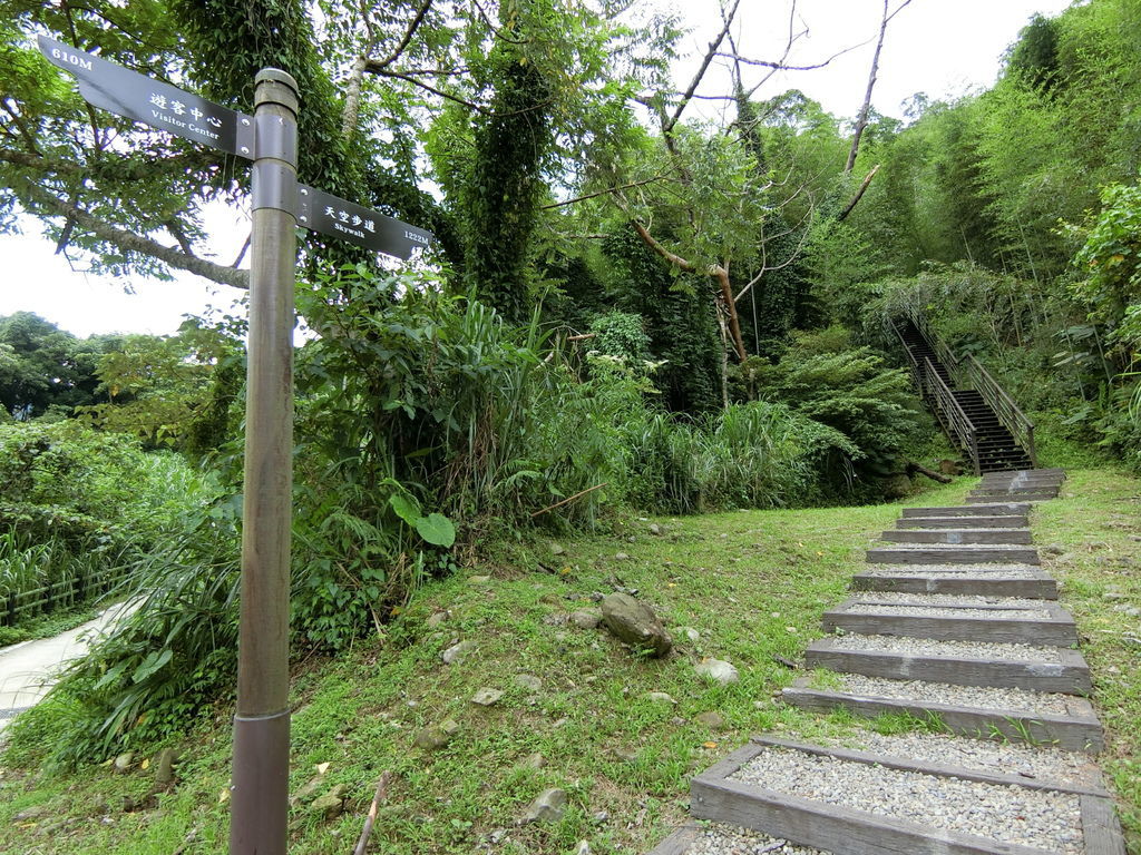 往小烏來天空步道