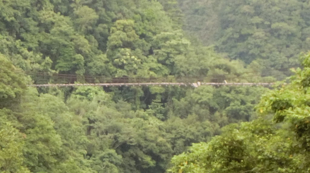 泰平／大平吊橋（尖石－復興）