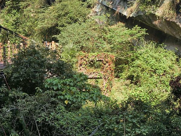 原 自強吊橋 遺跡