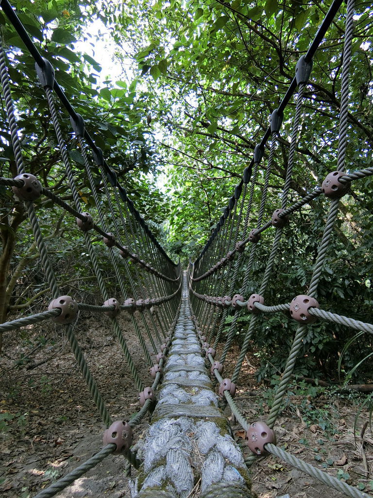 二崙自然步道吊索橋（二崙）