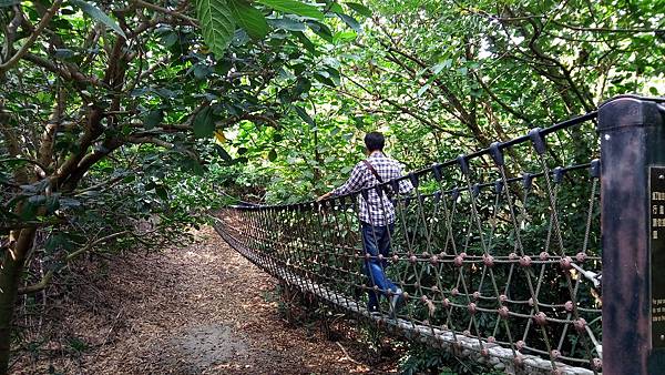 二崙自然步道吊索橋（二崙）