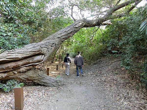 二崙自然步道