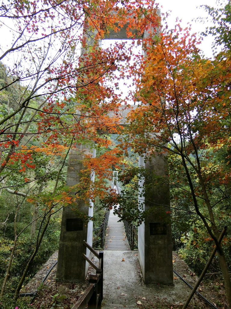 石盤谷吊橋（豐山村）