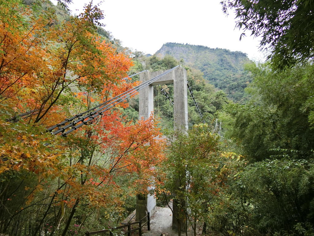 石盤谷吊橋（豐山村）