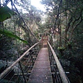 拉拉吾雅吊橋（樂野村）