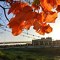 竹香吊橋（香山）