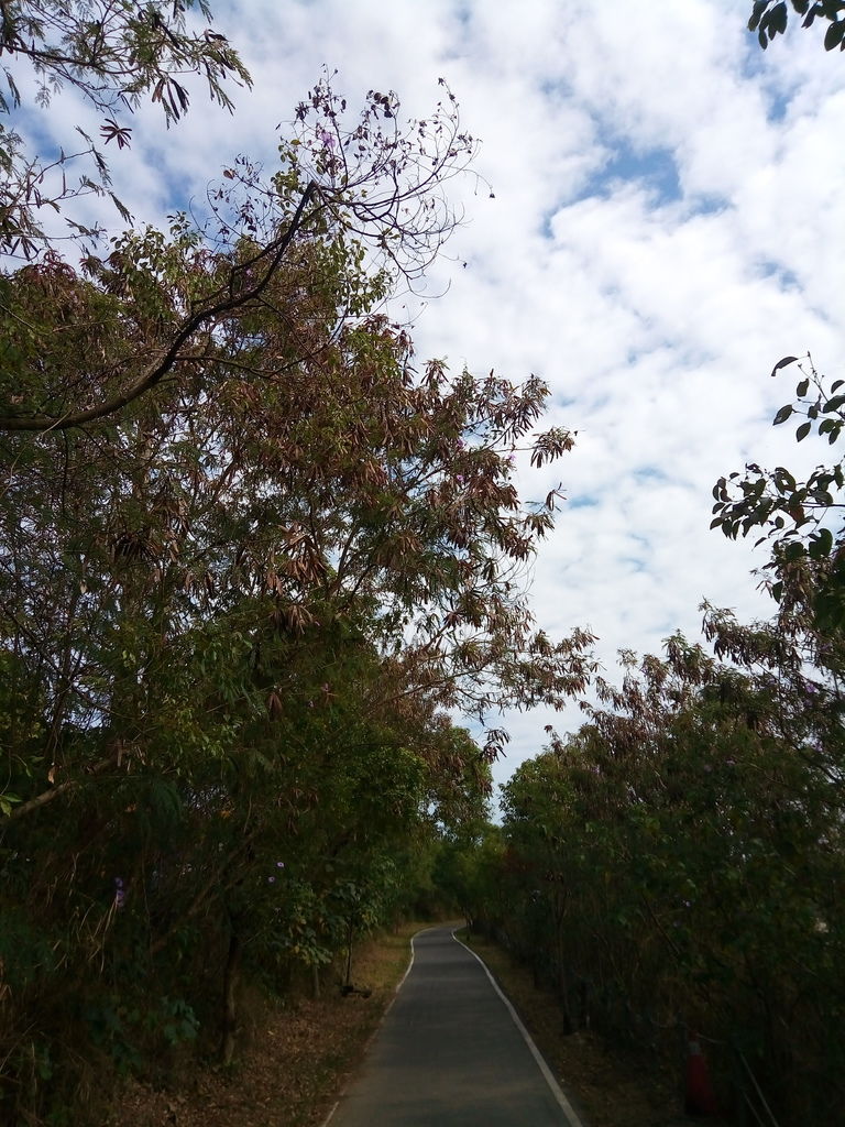 環水庫步道