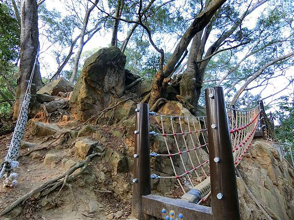 大坑六號步道繩索吊橋（北屯）