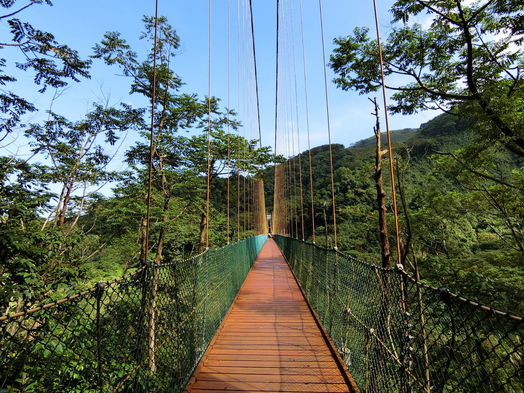 瑞龍吊橋（竹山）