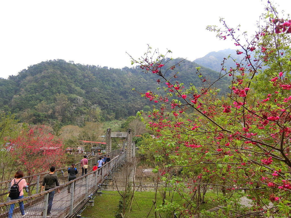 清泉吊橋（五峰）