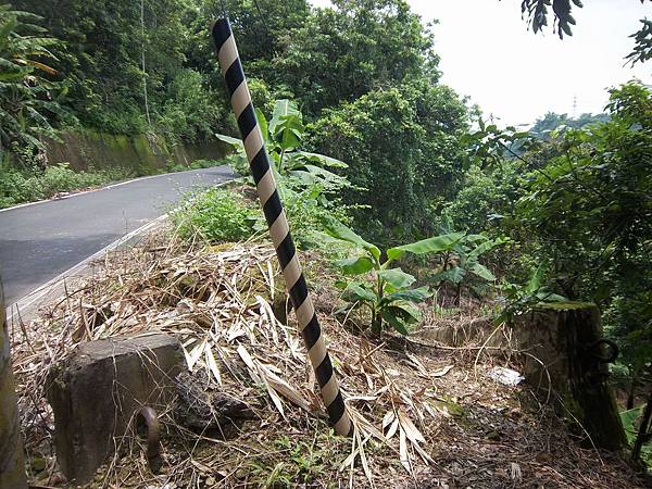 東山路無名吊橋 遺跡（南投）