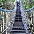 楓仔林步道小天梯吊橋（太平）