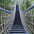 楓仔林步道小天梯吊橋（太平）