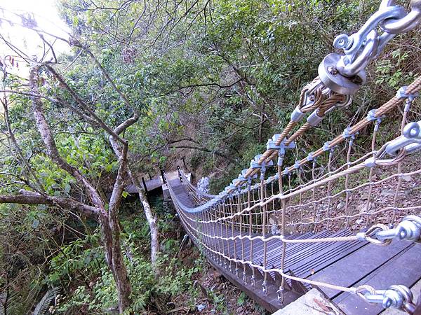 楓仔林步道小天梯吊橋（太平）