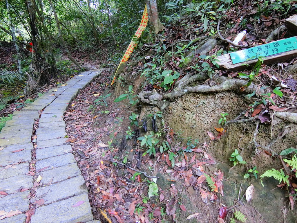 北坑溪步道第一交叉點