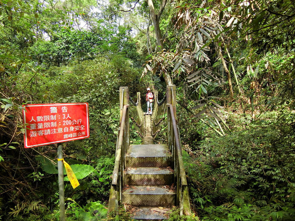 繩索吊橋（霧峰）