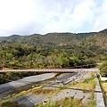 武界吊橋（法治村）