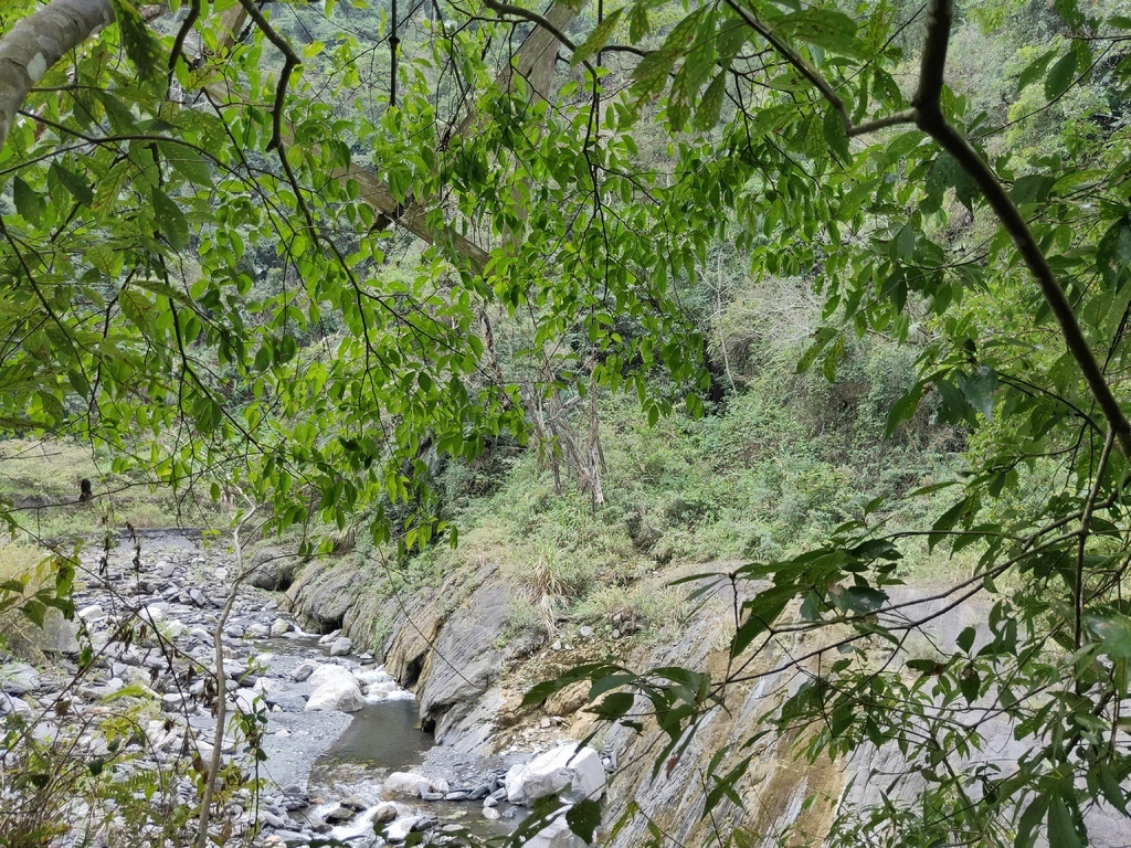 栗梄壩下游廢棄吊橋