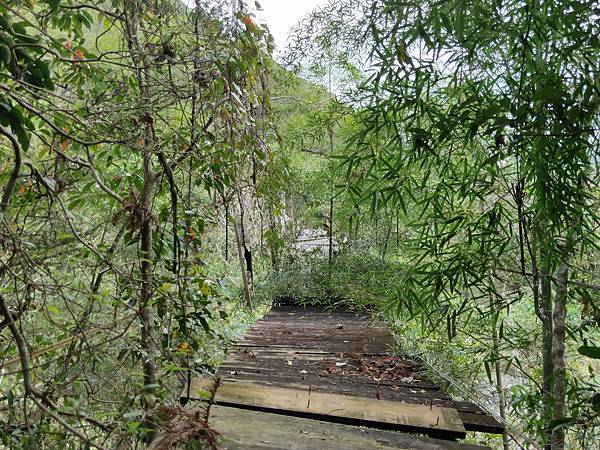 法治二號吊橋（萬豐村）