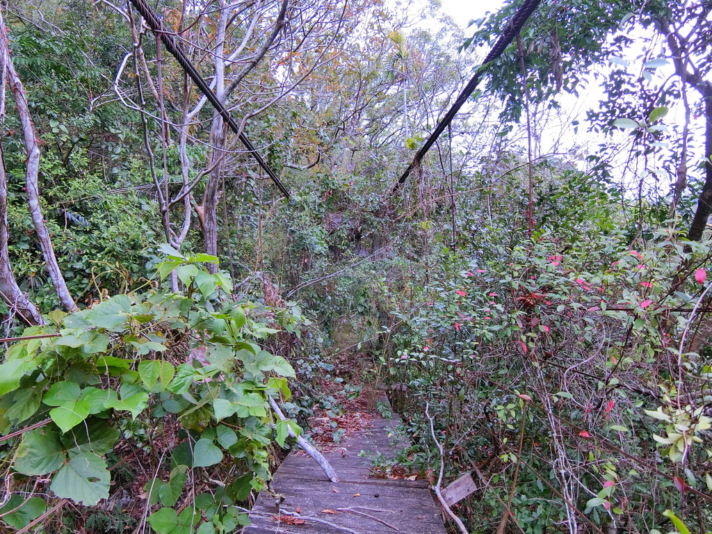 法治二號吊橋（萬豐村）