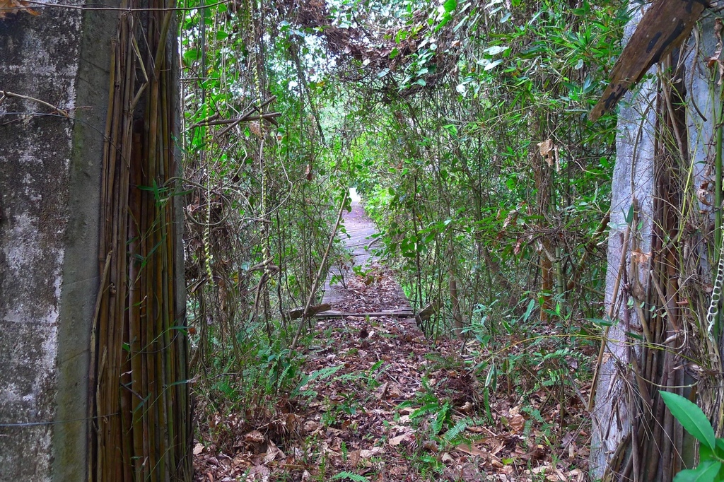 法治二號吊橋（萬豐村）